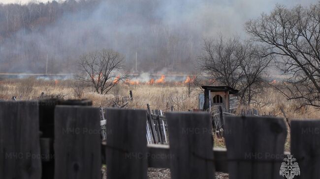 Природный пожар в Амурской области