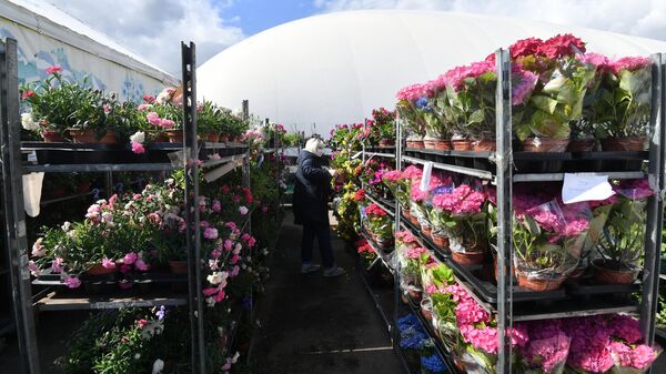 Цветы в цветочном магазине