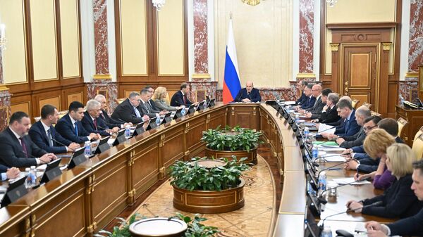 Председатель правительства РФ Михаил Мишустин на заседании правительства России в новом составе