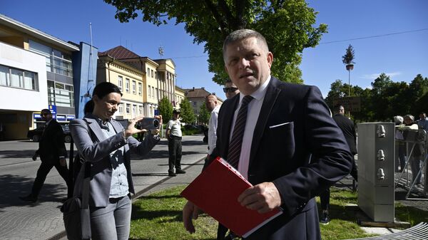 Премьер-министр Словакии Роберт Фицо перед заседанием кабинета министров в городе Гандлова