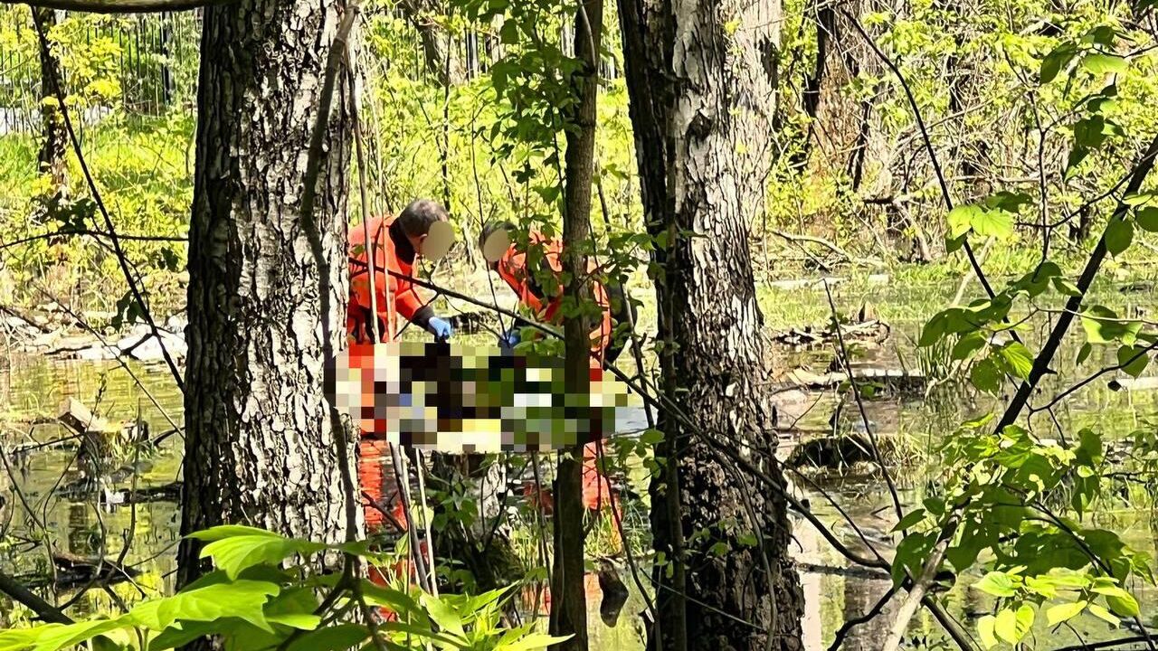 В парке на юго-востоке Москвы нашли тело ребенка - РИА Новости, 21.05.2024