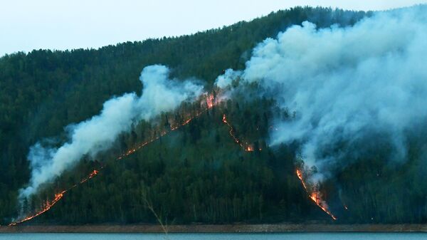 В России за сутки потушили 56 природных пожаров