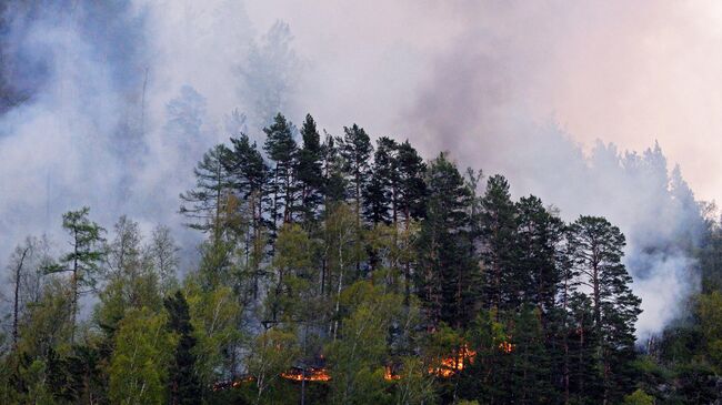 Семь пожаров в Якутии находятся на особом контроле МЧС