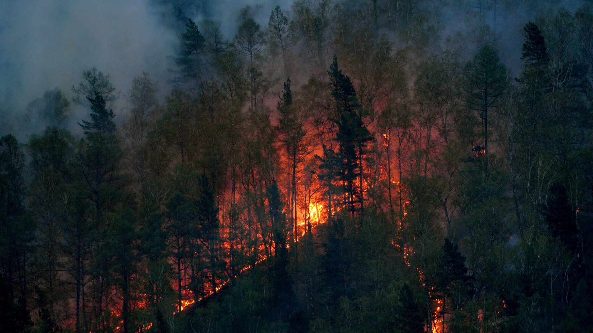 Лесной пожар в Красноярском крае - РИА Новости, 1920, 02.07.2024