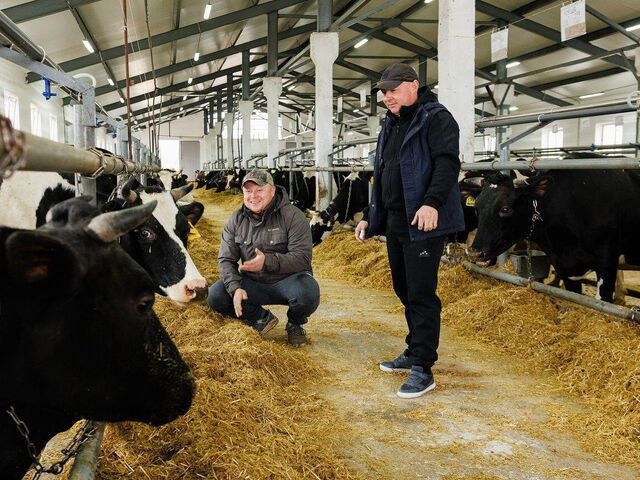 Прием заявок на гранты для фермеров стартовал в Свердловской области