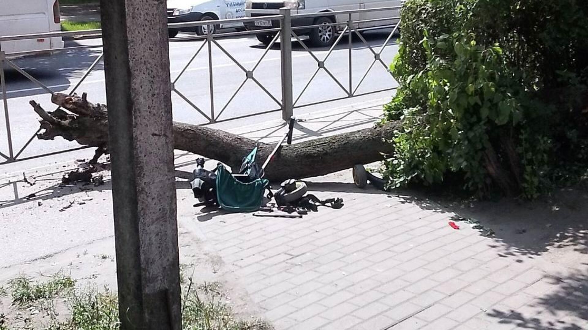 Место происшествия, где дерево упало на коляску в Черняховске под Калининградом - РИА Новости, 1920, 21.05.2024