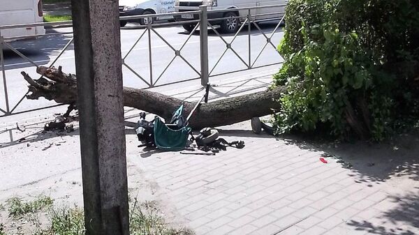 Место происшествия, где дерево упало на коляску в Черняховске под Калининградом