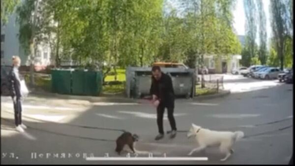 Кадр видео с камеры домофона, на котором видно, как мужчина натравливает свою собаку на кота