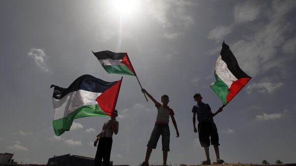 Палестинцы c флагами