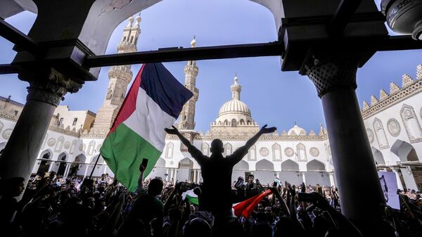 Пропалестинский митинг в Каире