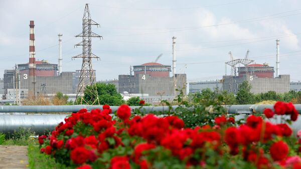 Энергоблоки Запорожской АЭС в Энергодаре