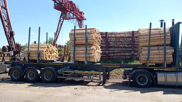Владимирским бойцам в зону СВО отправили древесину для стройки укрытий