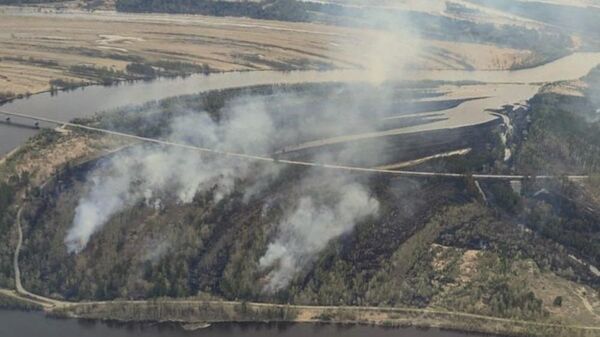 Число лесных пожаров сократилось в Тюменской области