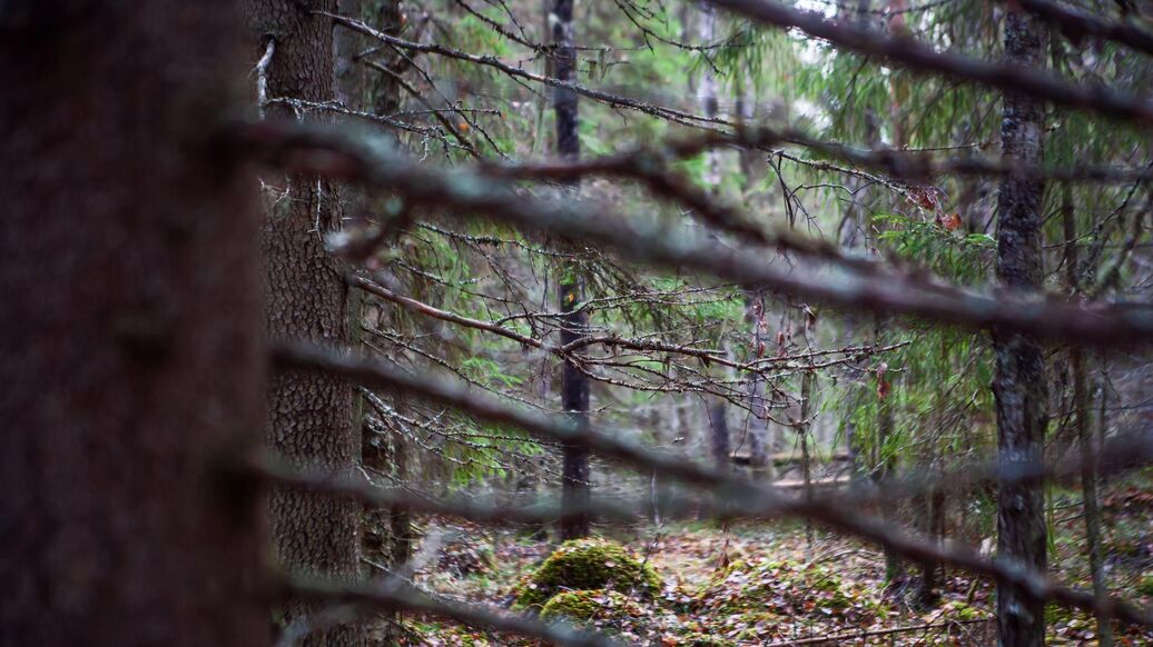 В Красноярском крае неделю ищут пропавшую в походе семью
