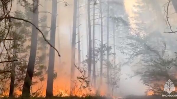 Природный пожар на территории ЛНР