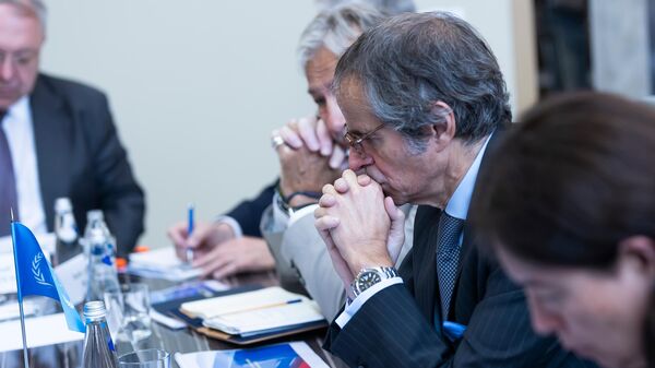 Генеральный директор МАГАТЭ Рафаэль Гросси участвует в переговорах с генеральным директором госкорпорации Росатом Алексеем Лихачевым в Калининграде