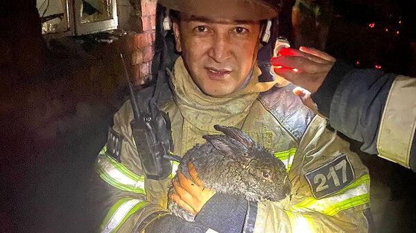 Пожарный МЧС России спасает кролика во время пожара в Астрахани