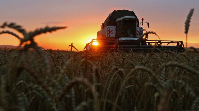 Кремль не исключает продолжения зерновой сделки
