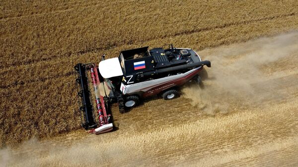 В США рассказали, как зерно поможет защититься от инфляции