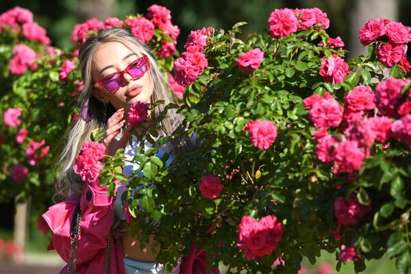 Розы в парке Ривьера в Сочи