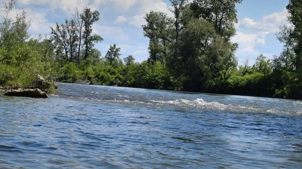 Река Тиса на границе с Румынией, где было найдено тело украинского уклониста