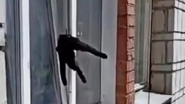 Кошка, застрявшая в окне квартиры в Димитровграде