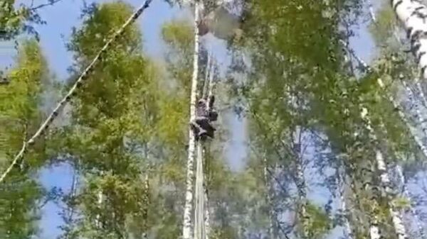 Девушка-парашютистка, которая неудачно приземлилась в деревне Головино Томской области