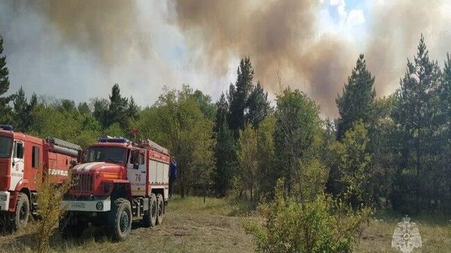 Лесной пожар в Ростовской области