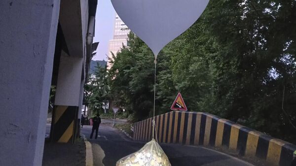 Мешок с мусором на воздушном шаре, предположительно отправленный Северной Кореей, в Сеуле