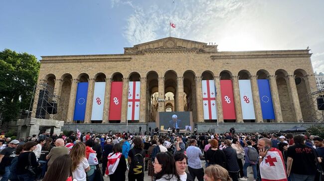 Здание парламента в Тбилиси. Архивное фото