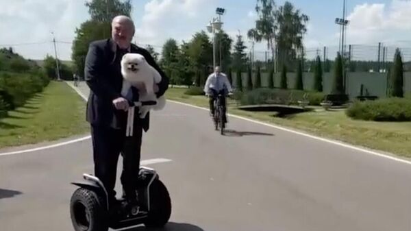 Президент Белоруссии Александр Лукашенко со своей собакой Умкой. Кадр видео