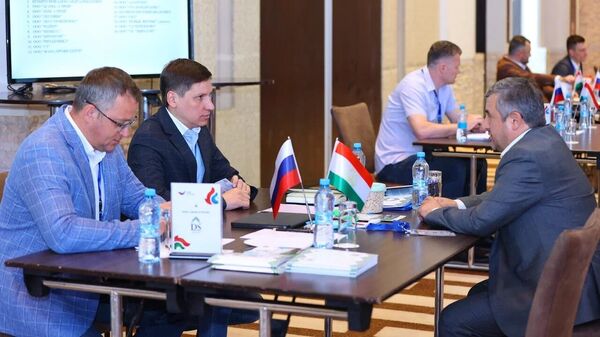 Компании РФ будут продвигать в Таджикистане агропродукцию и товары для строительства