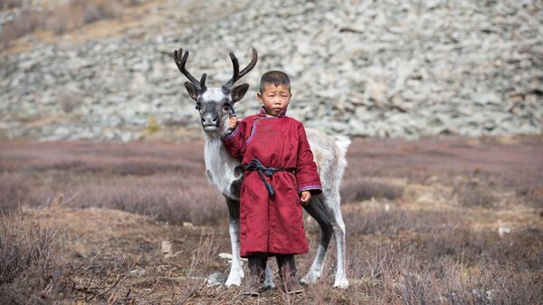 Мальчик с детенышем северного оленя в Тундре