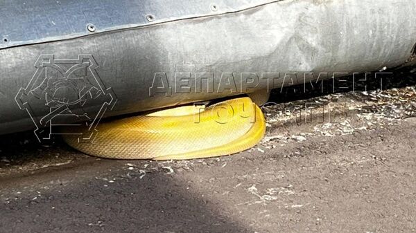Спасатели поймали большую жёлтую змею, спрятавшуюся под теплотрассой возле жилого дома в центре Москвы
