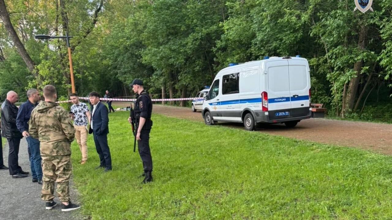 В московском парке мужчину убили на глазах у его внучек - РИА Новости,  05.06.2024