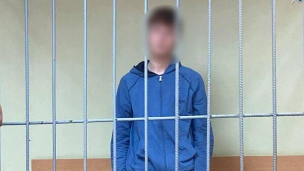 Фигурант уголовного дела об избиении подростка и мужчины на западе Москвы, заключенный под стражу