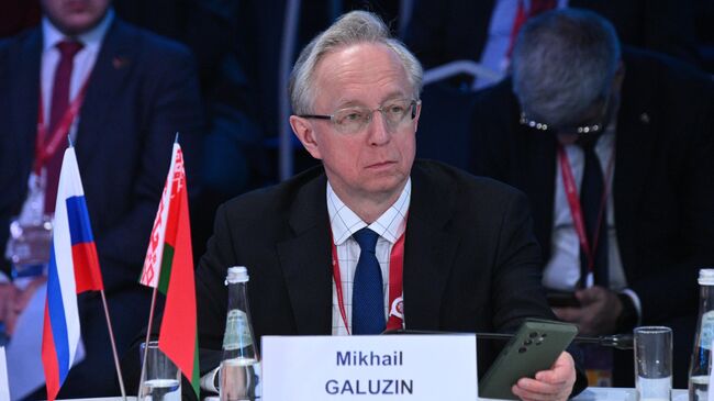 Замглавы МИД РФ Михаил Галузин на ПМЭФ-2024