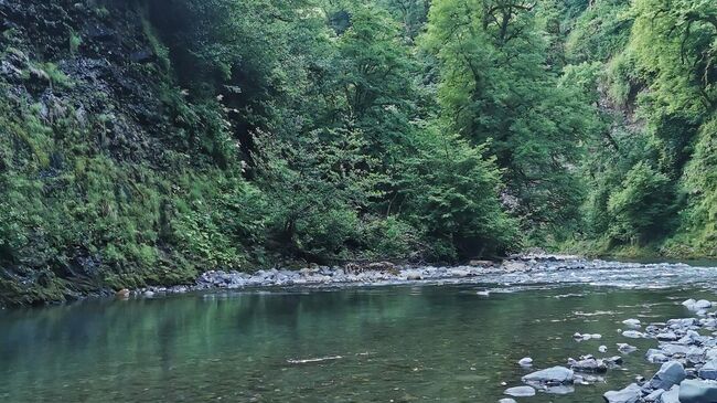 Район хребта Алек, где спасатели ищут заблудившегося туриста в Сочи