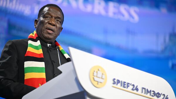 Президент Зимбабве Эммерсон Мнангагва выступает на пленарном заседании Петербургского международного экономического форума