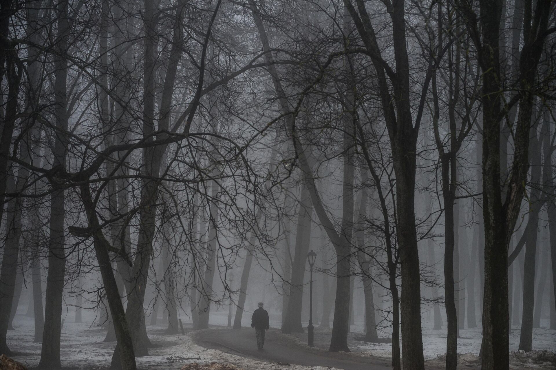 Мужчина гуляет по парку в туманную погоду - РИА Новости, 1920, 13.06.2024