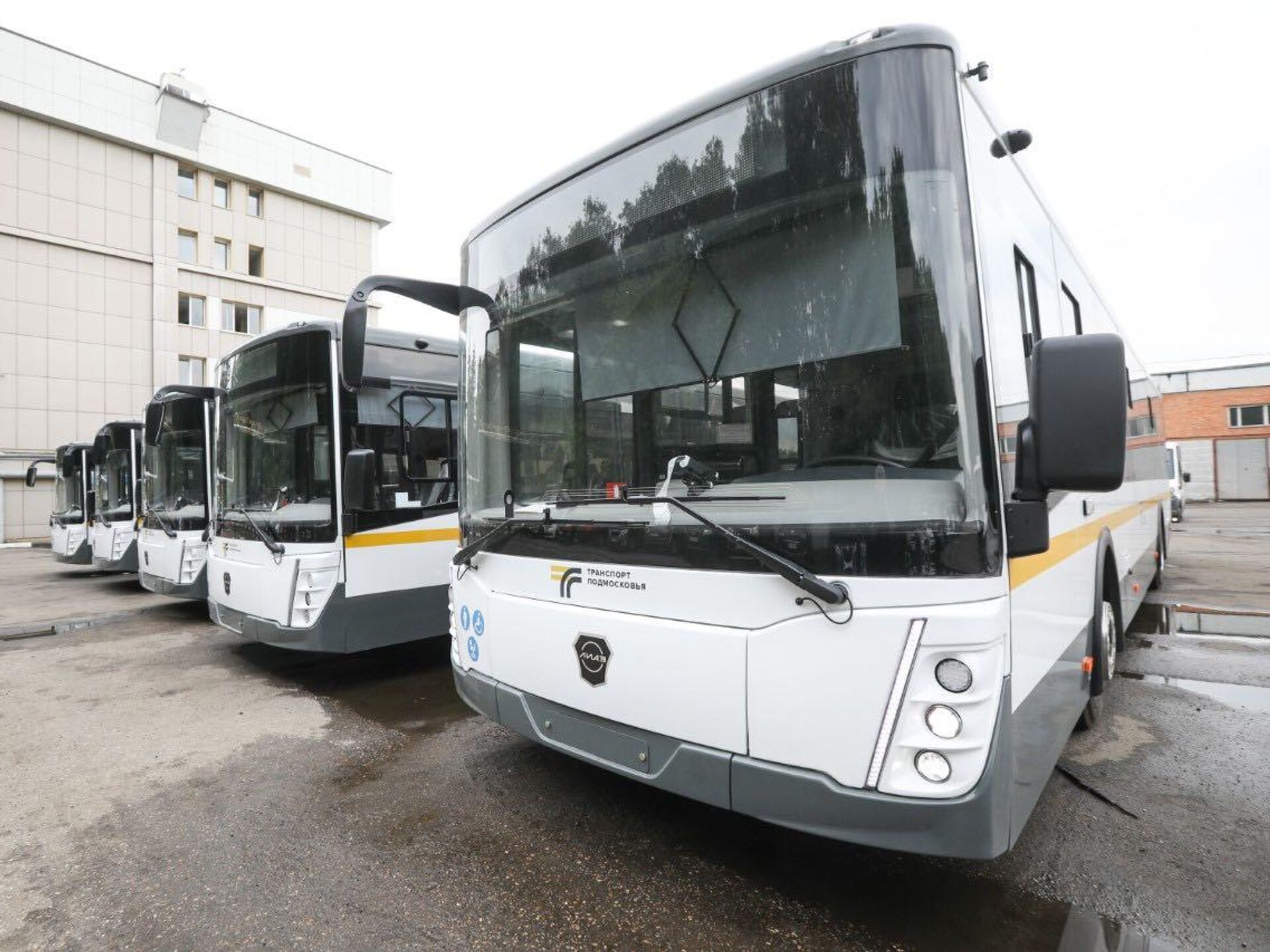 На подмосковные маршруты выйдут 40 новых автобусов - РИА Новости, 14.06.2024