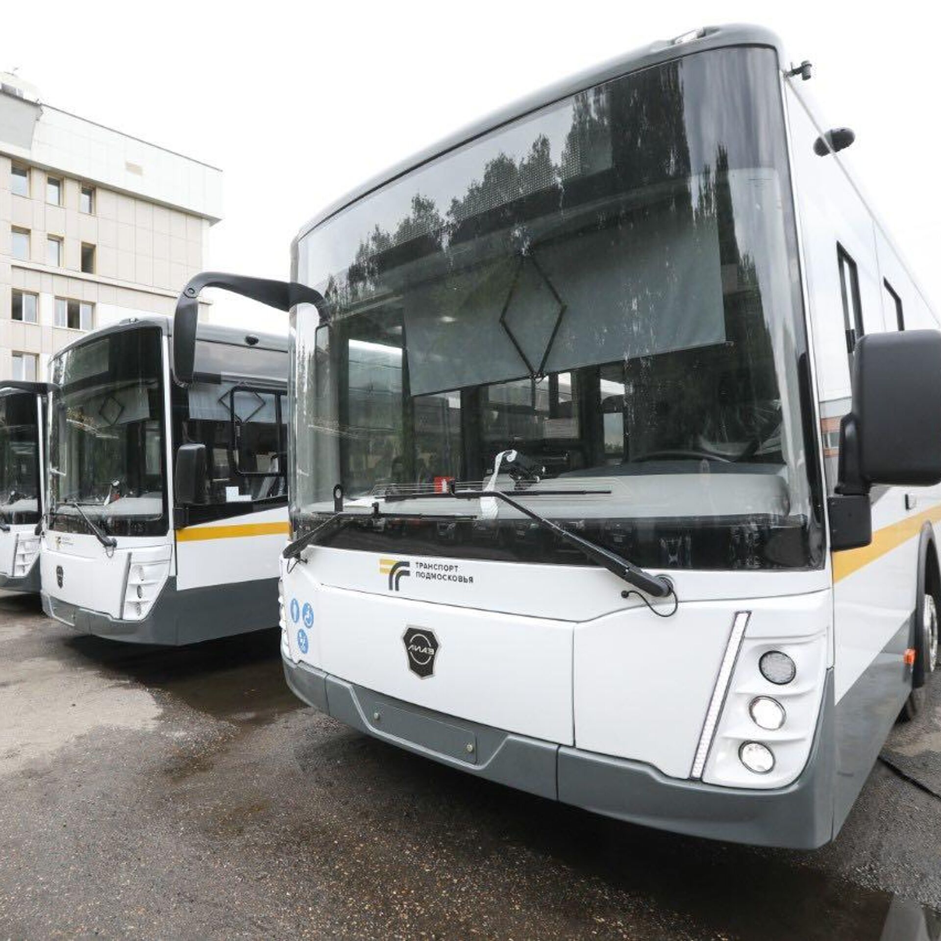 На подмосковные маршруты выйдут 40 новых автобусов - РИА Новости, 14.06.2024