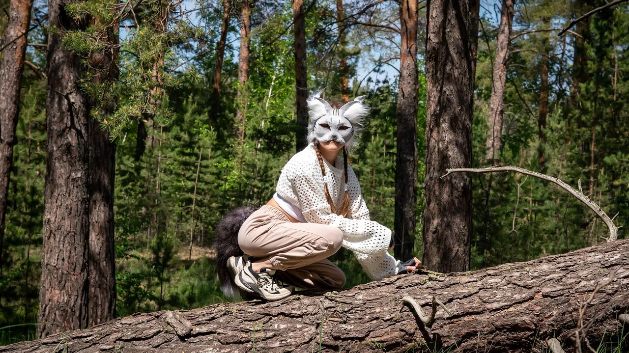 Коробку со щенками нашли в лесу Карелии | Фактор - новости Карелии