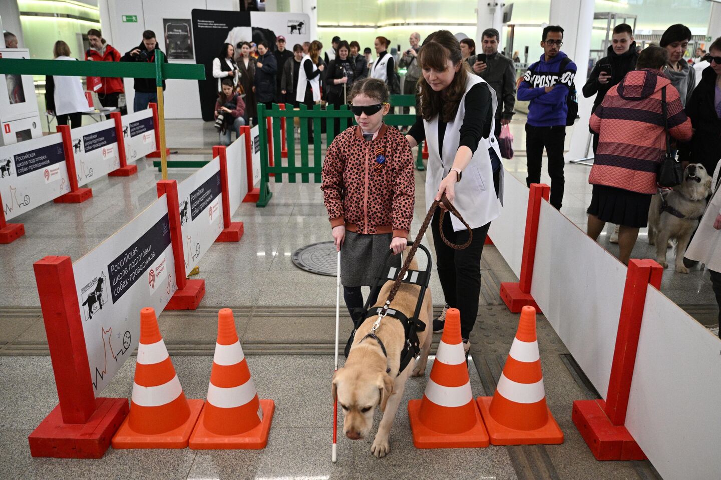 Показательное выступление собак-проводников в московском метро