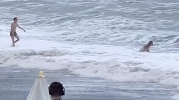 Девушка, которую сбило волной во время волнения на море в Сочи