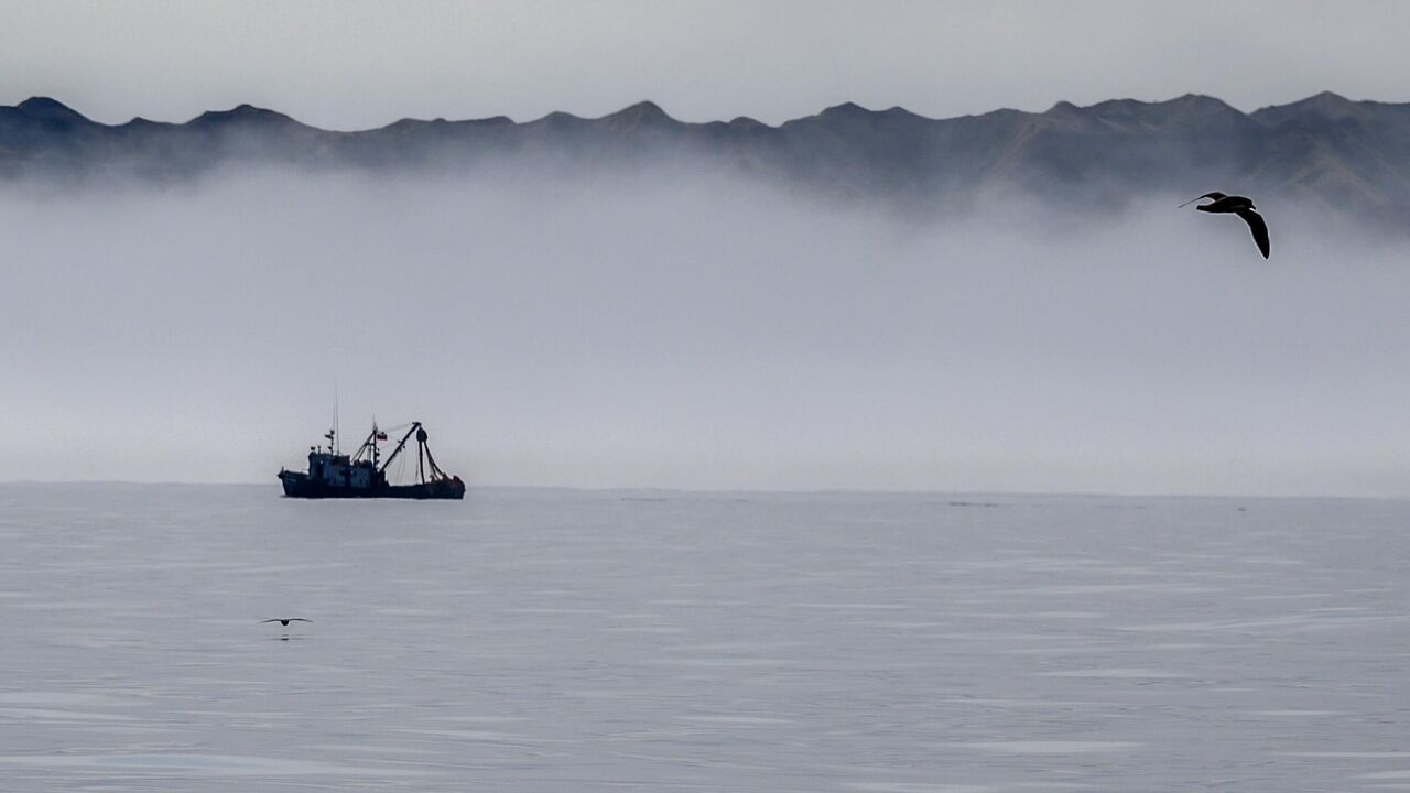 В Охотском море завершают очистку дна от затонувших судов - РИА Новости,  18.06.2024