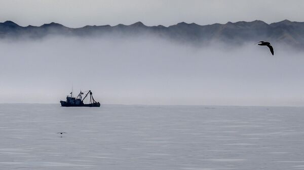 В Охотском море завершают очистку дна от затонувших судов