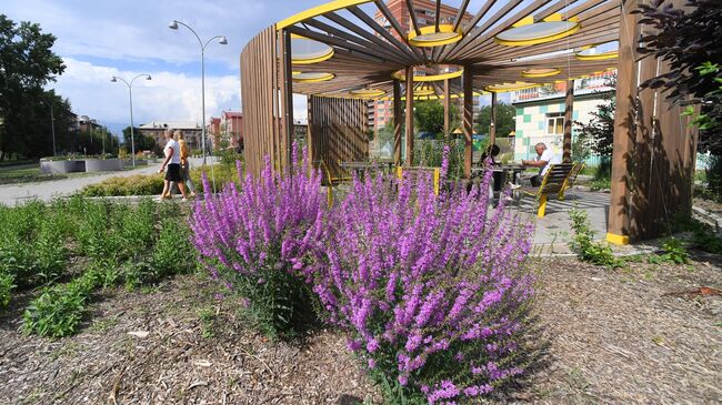 Тактильный сквер Светлый в Красноярске