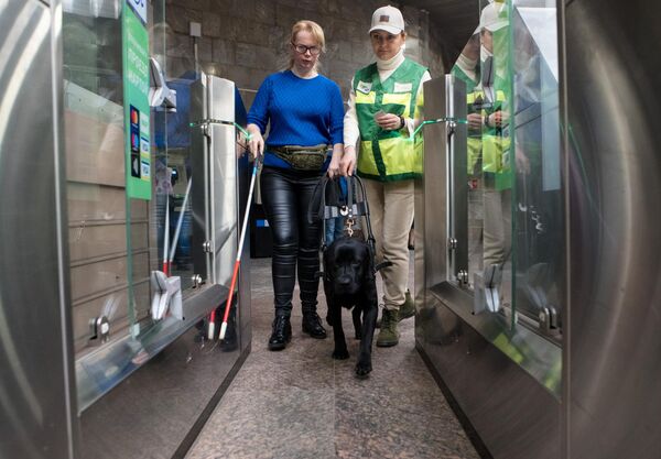 Тренировочные занятия собаки-поводыря.