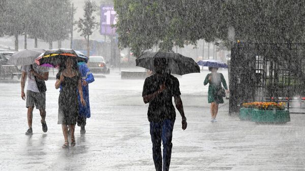 Июнь в Москве вошел в тройку самых дождливых за историю метеонаблюдений